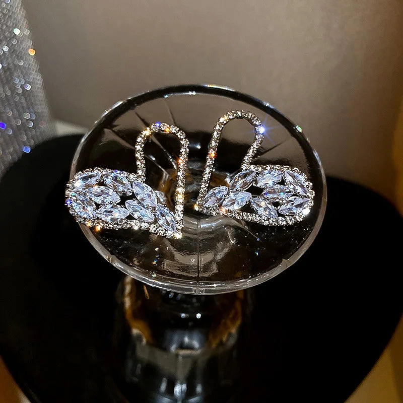 Brincos de luxo em formato de coração e variedades